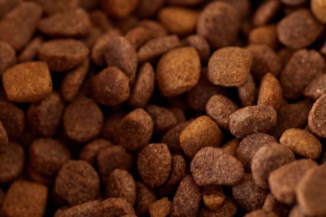 Hunde- und Katzenfutter: Nass oder trocken, und was auf dem Etikett steht