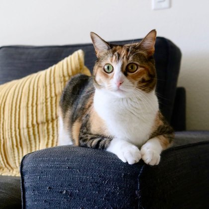 Betten & Sofas