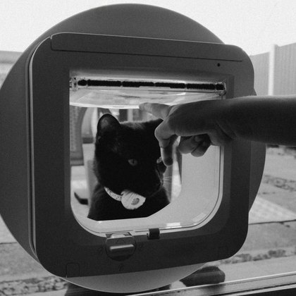 Elektronische Katzenklappen
