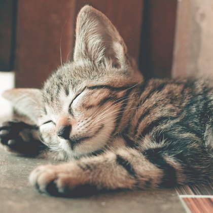 Entspannungs- & Anti-Stress-Mittel
