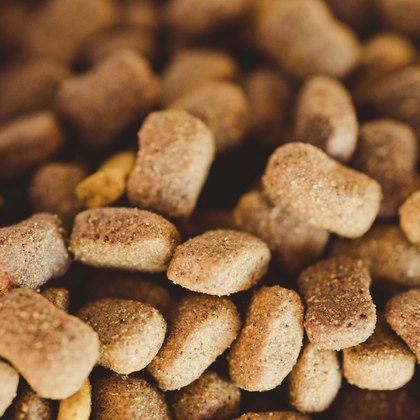 Entwässertes & Gefriergetrocknetes Futter