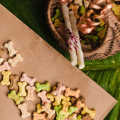 Hundekuchen, Kekse & Kausnacks