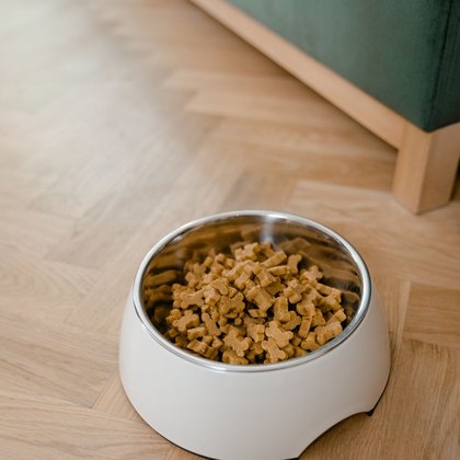 Leckereien & Futterergänzung