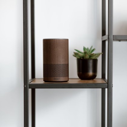 Sprachassistenten & Smart Home Hubs