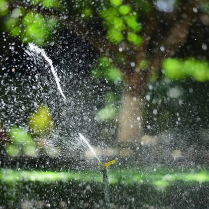 Sprinkler