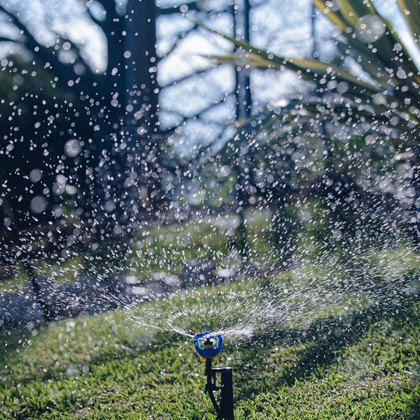 Sprinkler