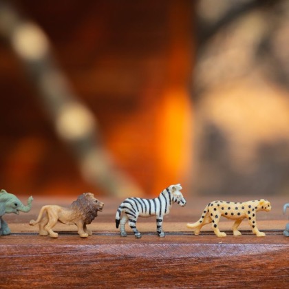 Tiere