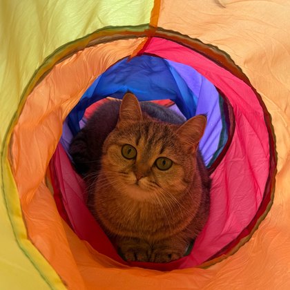 Tunnel