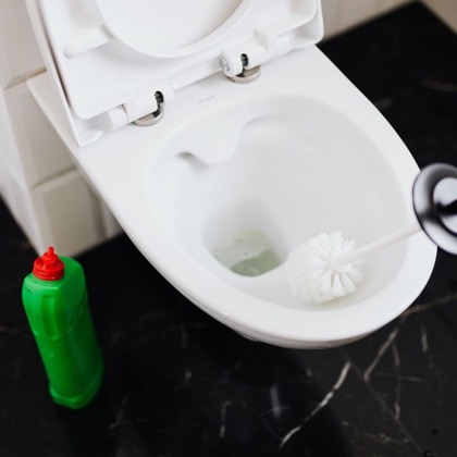 WC-Bürsten & Halter