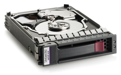 HPE Dual Port - Festplatte - 1 TB - Hot-Swap - 2.5 SFF (6.4 cm SFF)