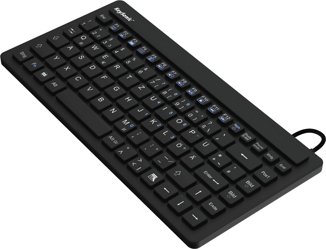 KeySonic KSK-3230 IN - Mini - Kabelgebunden - USB - Schwarz - TL: US, QWERTY