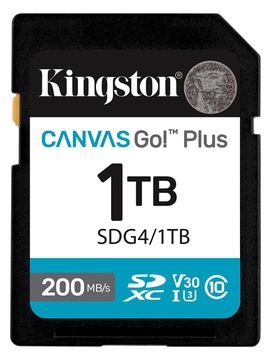Kingston Canvas Go! Plus - Flash-Speicherkarte - schwarz 1 TB von LumaTech