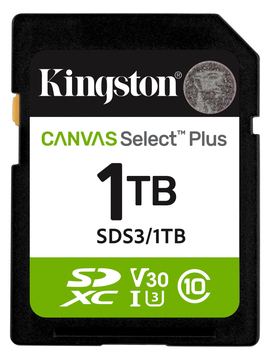 Kingston Canvas Select Plus - Flash-Speicherkarte - grün, schwarz, weiß 1 TB von LumaTech