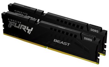 Kingston FURY Beast - DDR5 - Kit - 16 GB: 2 x 8 GB von LumaTech