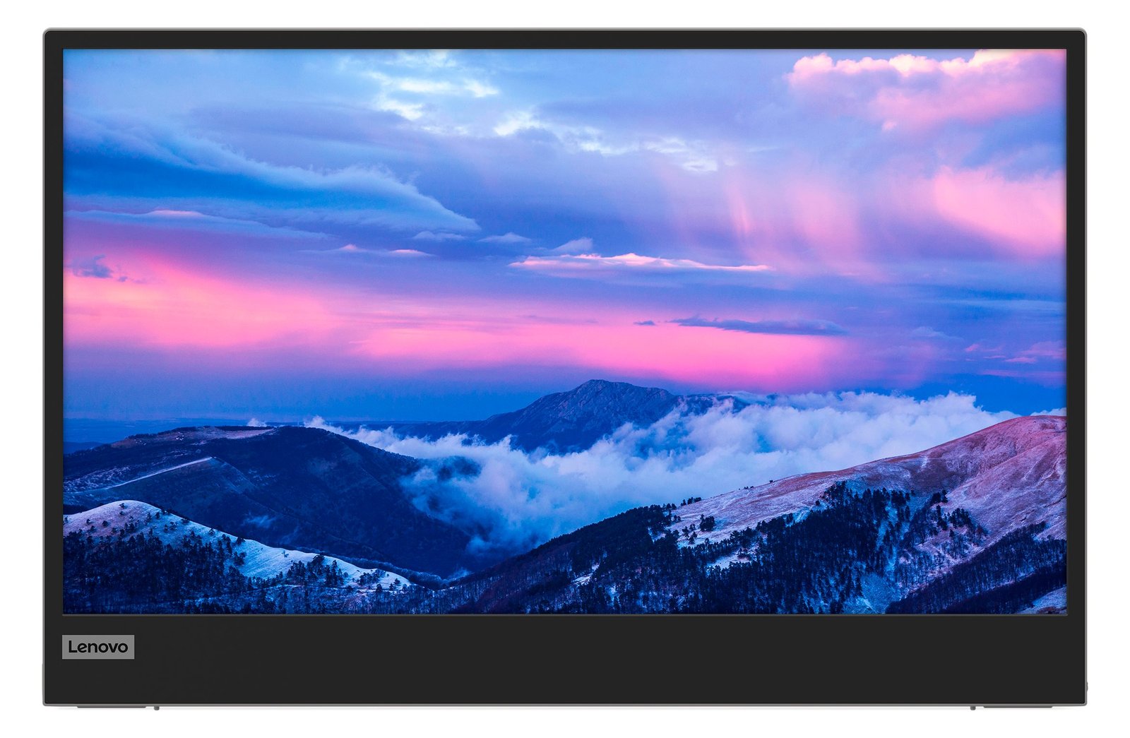 Lenovo L152 - LED-Monitor - 39.6 cm (15.6) (16 sichtbar)