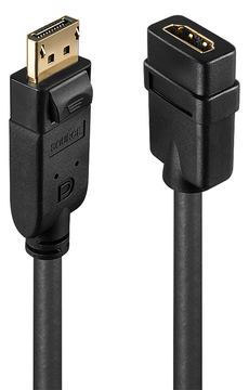 Lindy Video- / Audio-Adapter - DisplayPort (M) von LumaTech