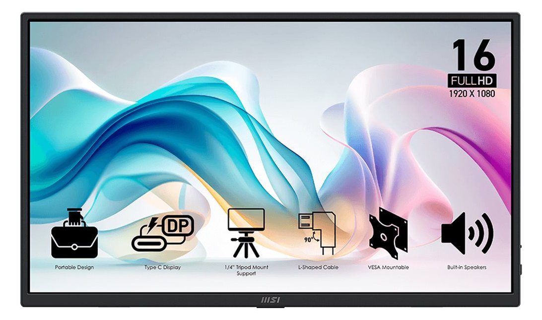 MSI PRO MP165DE E6 16 FHD - Flachbildschirm (TFT/LCD) - 40,6 cm