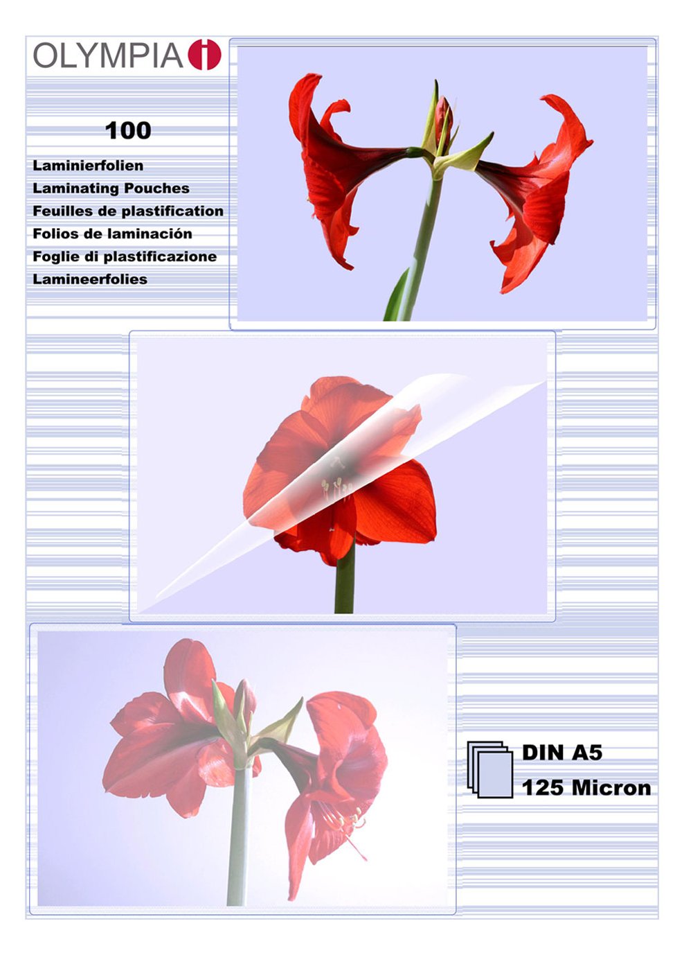 Olympia 1x100 DIN A5 125 micron - Transparent - A5 - 100 Stück(e)