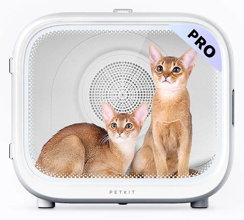 Petkit AirSalon Max Haustier-Trockner von LumaTech