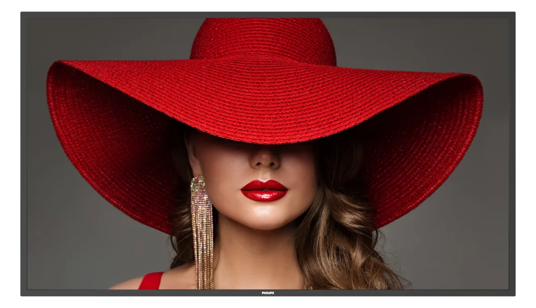 Philips 55? D-Line UHD 24/7 landscape & port, Ansicht 2