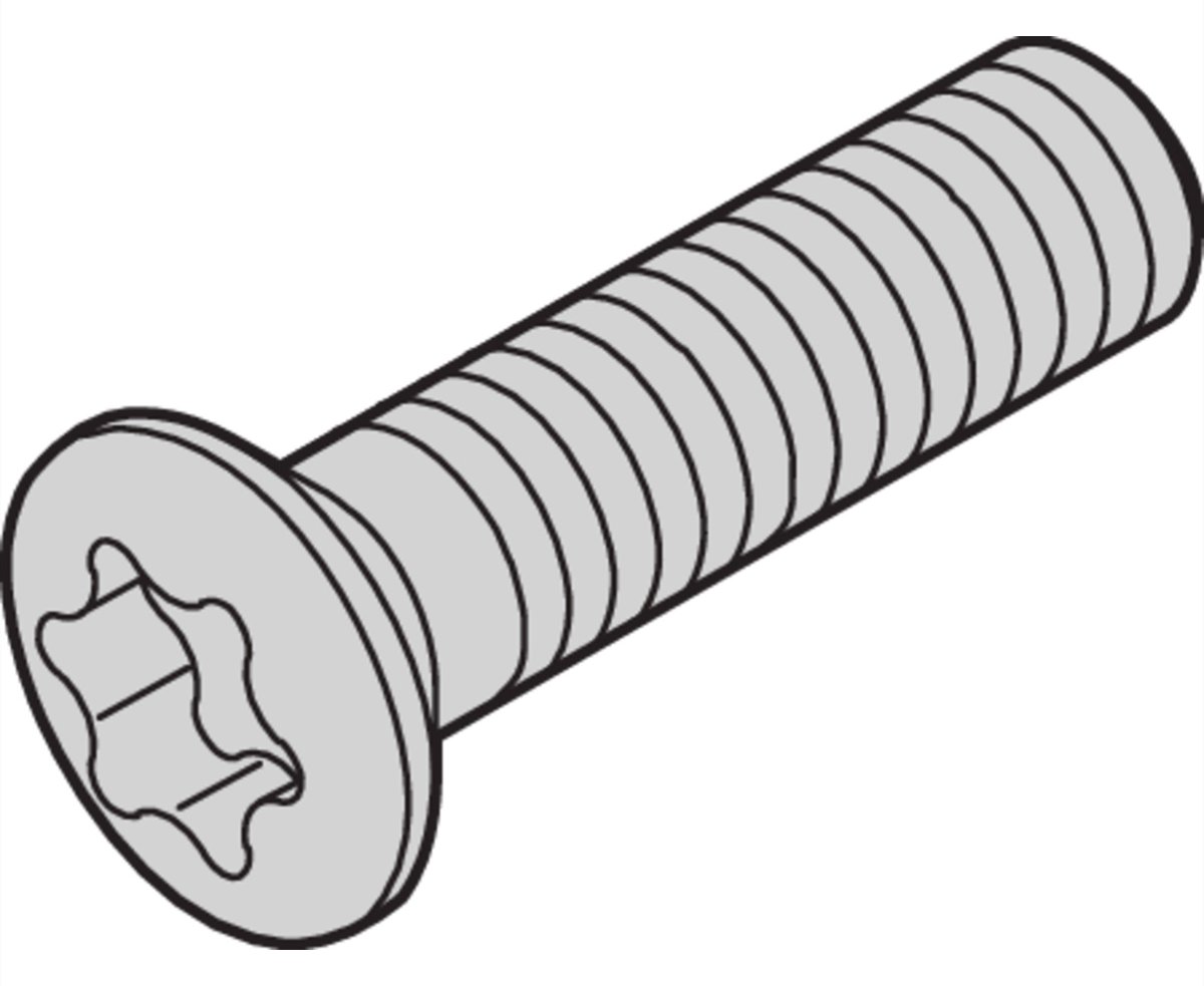 SCHROFF SCREW PENTORX M2.5X10(100PC)