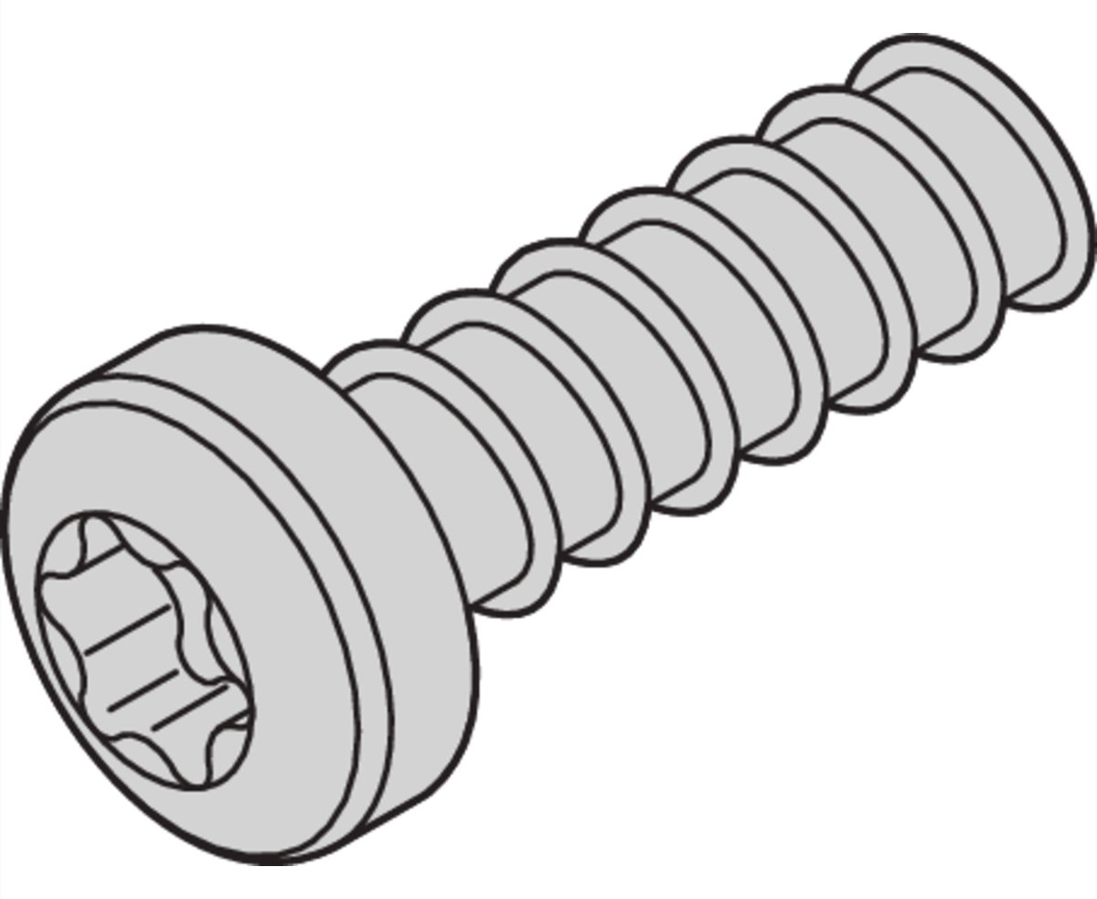 SCHROFF SCREW TORX 2.5X7.3 (100PCS)