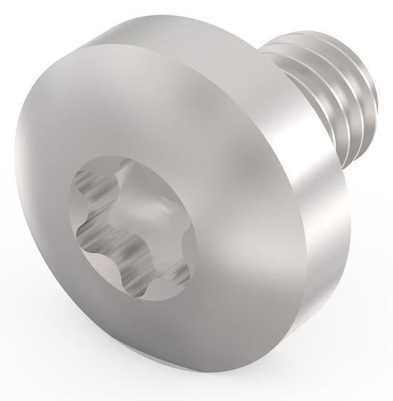 SCHROFF TORX SCREW M4X6 E/PRO (100PC/KIT)