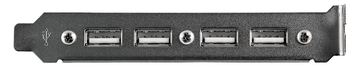 StarTech.com 4 Port USB 2.0 Buchse Slotblech Adapter mit 2x 10-Pin Mainboard Header - USB-Konsole - USB (W) von LumaTech