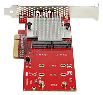 StarTech.com Dual M.2 PCIe SSD Adapter Karte - x8 / x16 Dual NVMe oder AHCI M.2 SSD zu PCI Express 3.0 von LumaTech