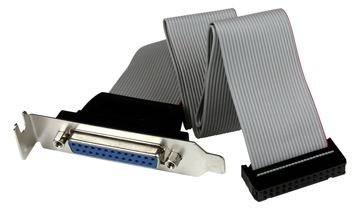 StarTech.com Low Profile IDC 26 (Buchse) auf DB25 (Buchse) von LumaTech