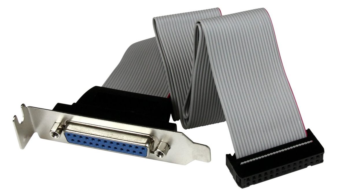StarTech.com Low Profile IDC 26 (Buchse) auf DB25 (Buchse)