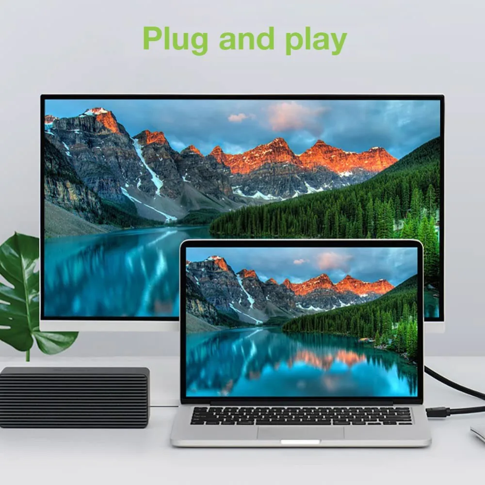Techly DisplayPort-Kabel - DisplayPort (M), Ansicht 7