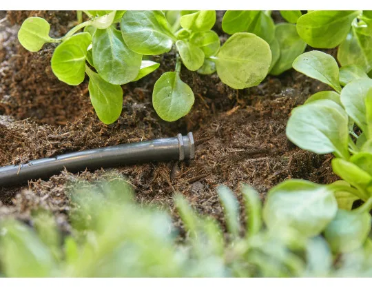 Gardena 13215-20 - Rohrenden-Stecker - Tropfbewässerungssystem - Kunststoff - Schwarz - 4.6 mm - 76,2 / 16 mm, Ansicht 3