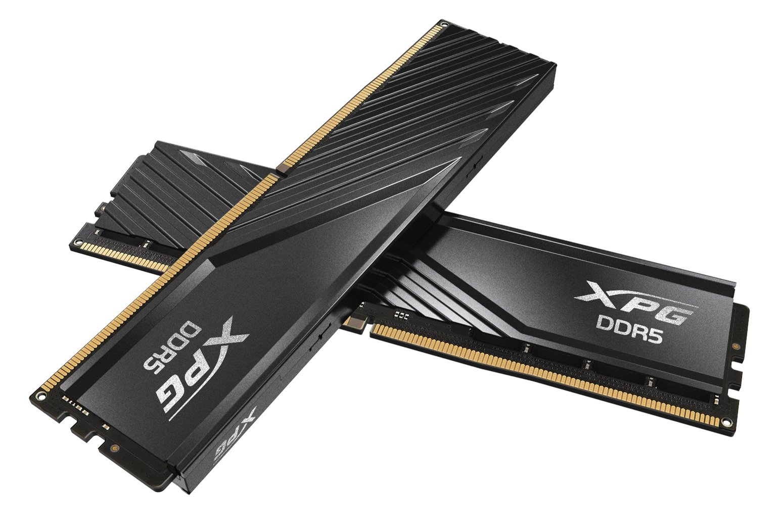 ADATA DIMM DDR5-5600 Dual-Kit schwarz AX5U5600C4616G-DTLABBK XPG - 32 GB - DDR5 (AX5U5600C4616G-DTLABBK) - 32 GB - DDR5