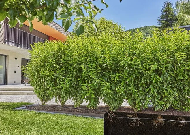 Gardena Micro-Drip-System - Tropfbewässerungsleitung, Ansicht 3