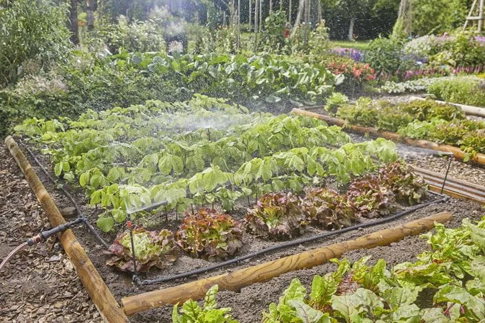 Gardena Micro-Drip-System Border Set - Micro-Drip-System, Ansicht 2