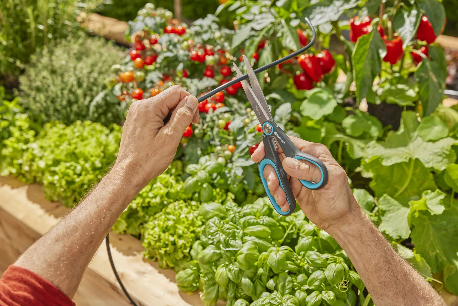 Gardena Solar-Bewässerung AquaBloom L Set, Ansicht 4