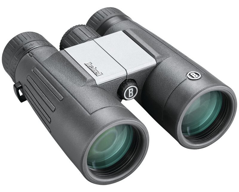 Bushnell Powerview 2.0 - Dach - 10x - 4,2 cm - Mehrschichtig beschichtet (MC) - Schwarz - Grau - 629 g
