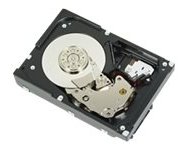 Dell  Festplatte - 300 GB - intern - 3.5 (8.9 cm)