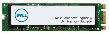 Dell SSD - 256 GB - intern - M.2 2280 - SATA von LumaTech