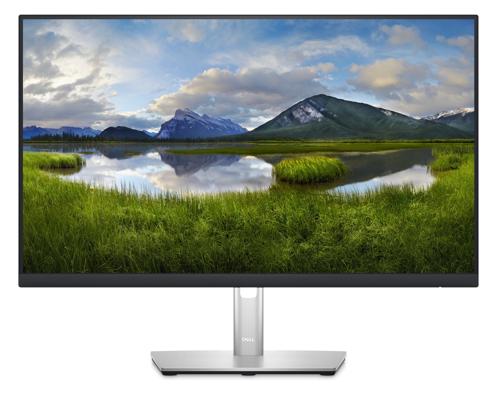 Dell P2423DE - LED-Monitor - 61 cm (24) (23.8 sichtbar)