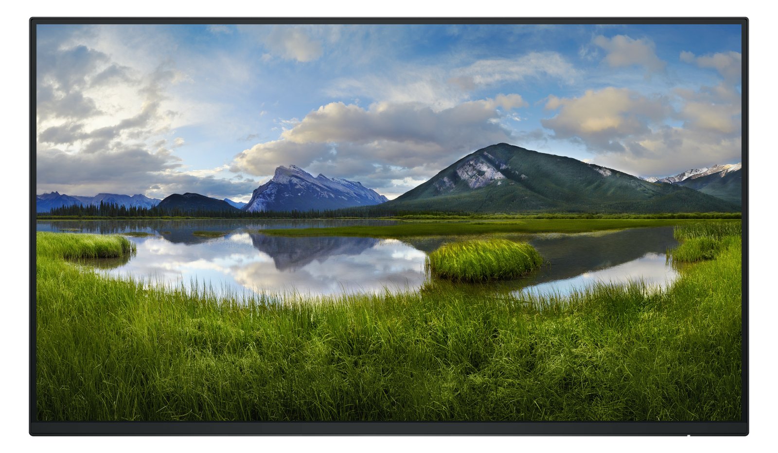 Dell P2425H - Ohne Standfuß - LED-Monitor - 61 cm (24)