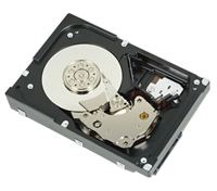 Dell WTJVY - 2 TB - 7200 RPM - 3.5 - NL-SAS von LumaTech