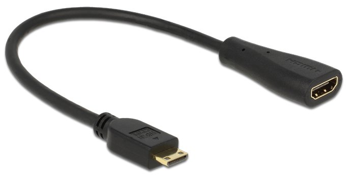 Delock HDMI mit Ethernetkabel - mini HDMI (M)