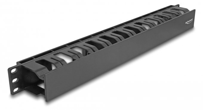 Delock Kabelführungsplatte für Schaltschrank - mit 2 Öffnungen, Kunststoff - Schwarz - 1U - 48.3 cm (19)