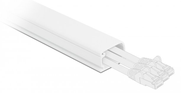 Delock Kabelkanal mit Abdeckung - 1 m - weiß