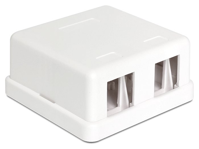 Delock Keystone Surface Mounted Box - Gehäuse mit modularen Einsätzen - Weiß