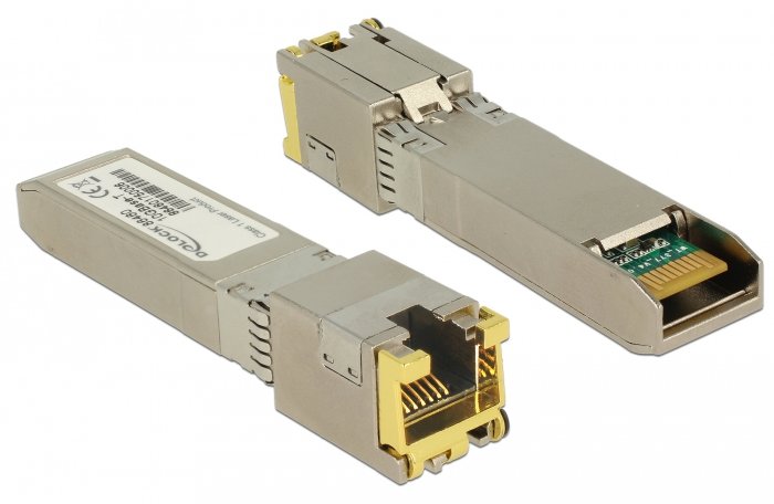 Delock SFP+-Transceiver-Modul - 10 GigE - 10GBase-T