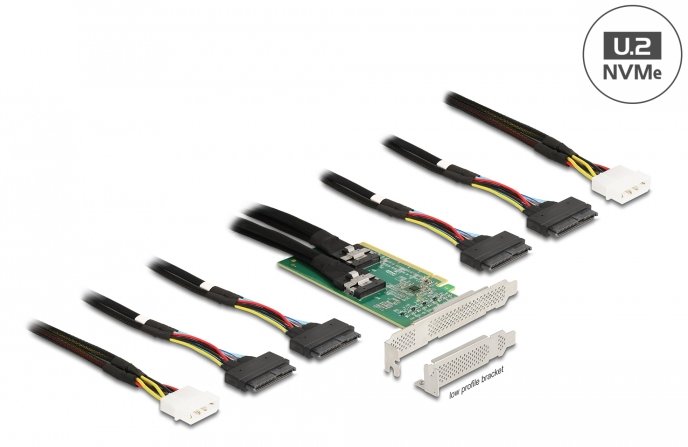 Delock Speicher-Controller - 4 Sender/Kanal