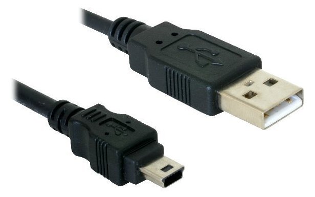 Delock USB-Kabel - Mini-USB, Typ B (M) zu USB (M)